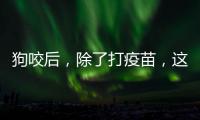 狗咬后	，除了打疫苗，这些问题容易被忽视