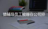 猿辅导员工被曝在公司猝死�，相关公司涉多起劳动纠纷