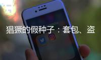猖獗的假种子�：套包、盗取、打假