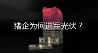 猪企为何进军光伏
�？