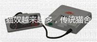 猫奴越来越多，传统猫舍却开不下去了？