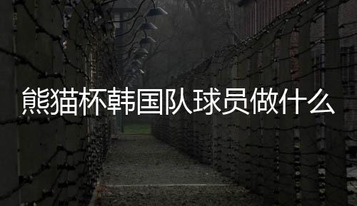 杯韩赛事所有观众的国队侮辱