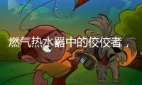 燃气热水器中的佼佼者，用先进技术解决洗浴烦恼