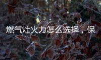 燃气灶火力怎么选择，保留营养还成就美味!
