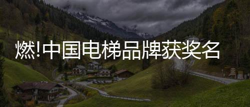 取得备受瞩目的燃中成绩
