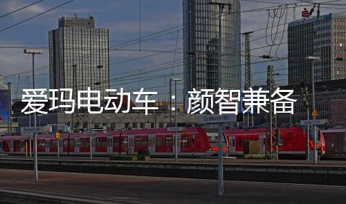 在麦的爱玛设计过程中