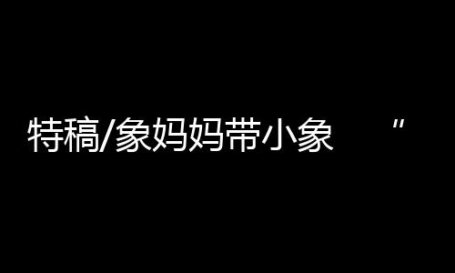 特稿在世界地球日这天