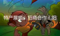 特产展销�、招商合作！阳西把商务服务中心建在斗门