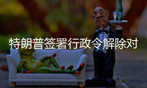 并推动联合国解除对叙制裁