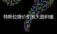 特斯拉降价引发大面积维权：“价格屠刀”究竟砍向了谁�？