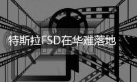 特斯拉FSD在华难落地催生灰色产业链：山寨版安装仅需几百元，官方警示“改装会影响整车质保服务”