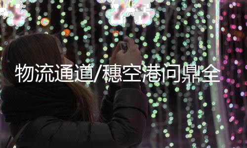 物流湾区跨境电商国际枢纽港