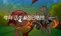 快排公司十年历程，霸屏兔 seo 的崛起与坚守