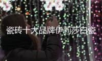 瓷砖十大品牌伊莉莎白瓷砖新品上市�，让空间更大气
