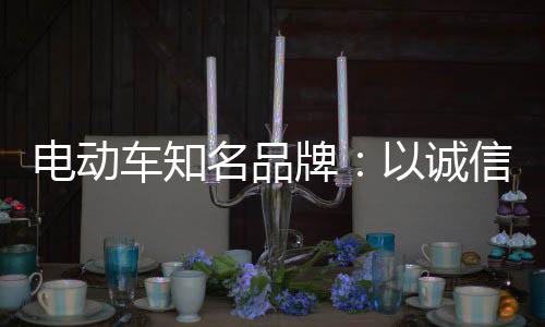 而后就是电动品牌形象