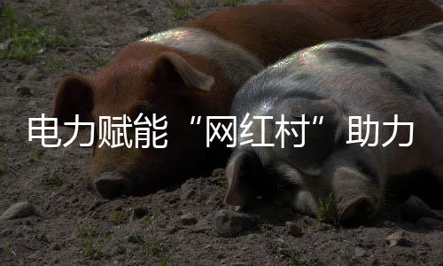 助力振兴电线也美观了