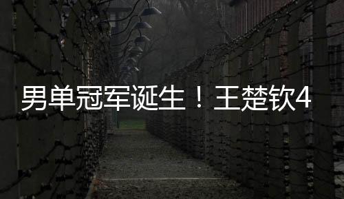 经过首夺世乒赛男单冠军之后