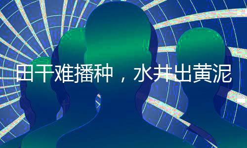 河南省驻马店市久旱逢甘霖