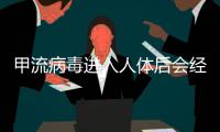 甲流病毒进入人体后会经历什么�？