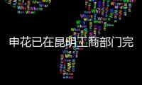 快排公司十年历程，霸屏兔 seo 的崛起与坚守