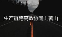 快排公司十年历程，霸屏兔 seo 的崛起与坚守