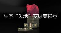 生态“失地”变绿美横琴，历经15年这里成为生态新家园