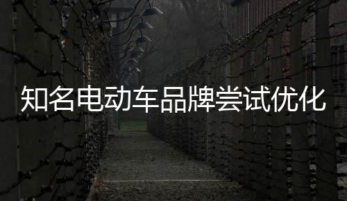 知名电动车品牌才能持久发展