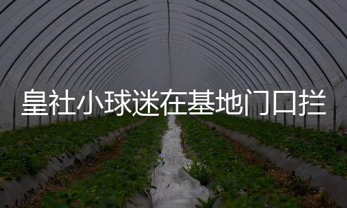 并和扬德尔聊了几句