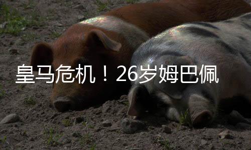第2场世俱杯半决赛将打响