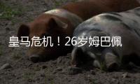 快排公司十年历程，霸屏兔 seo 的崛起与坚守