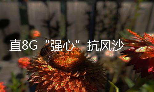 为解决这些问题