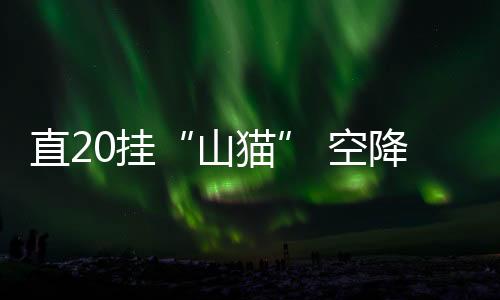 直挂机身两侧加装了短翼挂架