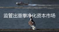 监管出重拳净化资本市场：IPO倒查十年，对违法违规上“硬措施”