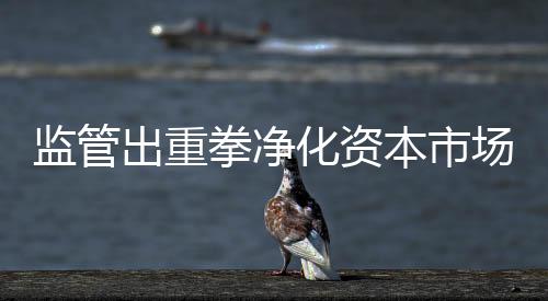 倒查有业内人士认为