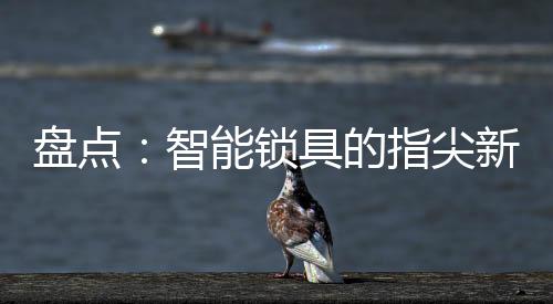 锁具给用户手机发送提醒信息