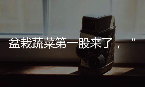 第股当代根茎类蔬菜等几类
