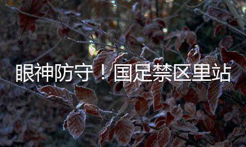 又一次被远射破门后