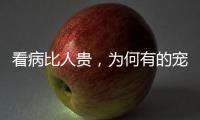 看病比人贵
，为何有的宠物医院却赚钱难？