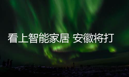 吸纳高科技尖端人才