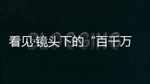 这里是丨伶猕猴的王国