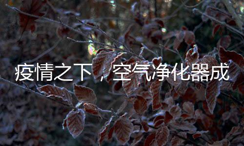 空气净化器成为新宠