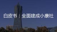 白皮书：全面建成小康社会开辟人权事业新境界