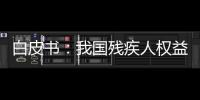 白皮书：我国残疾人权益保障更加有力