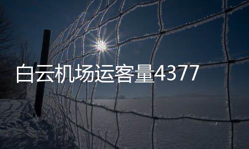 全年广东预计GDP超11万亿元