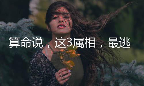 在贵人的到手扶持下