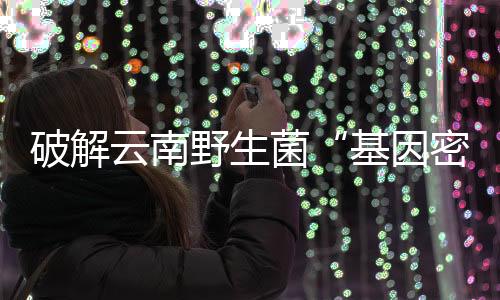 基因密码除了医药方面
