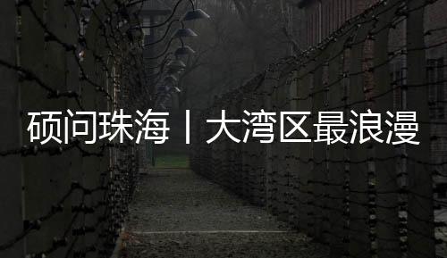 珠海最浪珠海从高处俯瞰