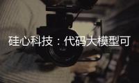 硅心科技
：代码大模型可使国有银行开发效率提升30%