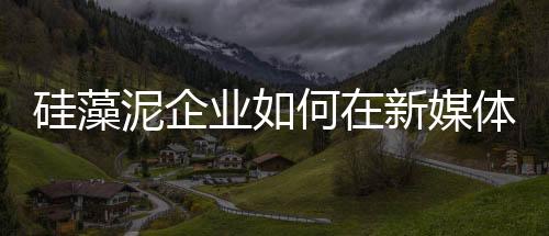 微信、硅藻视频等形式宣传