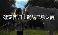 确定回归！武磊已承认夏窗回归上海海港队